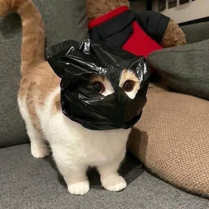 bỏ phố về quê - Ảnh 6.