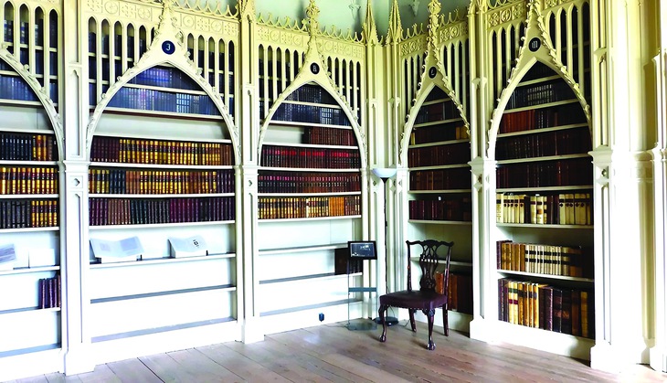 Đọc hay trưng, vẫn bừng cá tính - Ảnh 1.