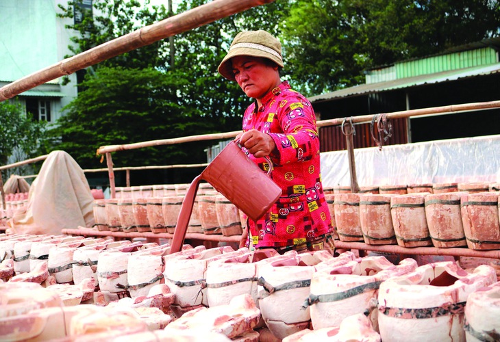 Lò Gốm - Ảnh 3.