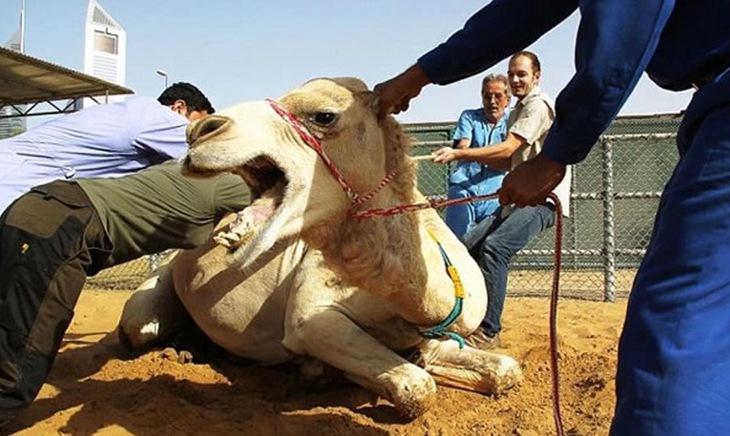 Những bức ảnh đánh lừa thị giác siêu hài (P4) - Ảnh 2.