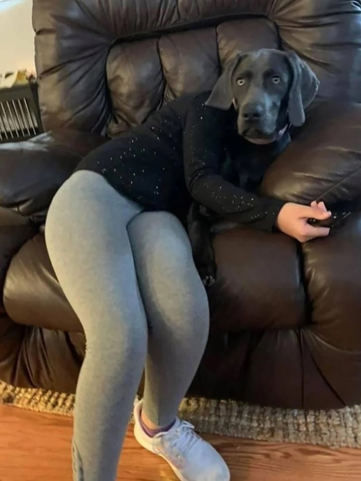 đánh lừa thị giác - Ảnh 1.