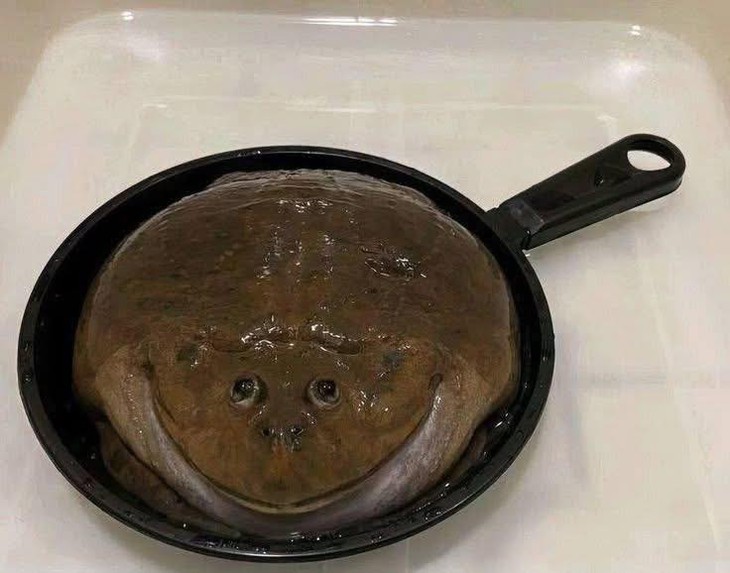 kinh phí - Ảnh 3.