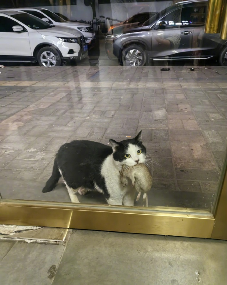 kinh phí - Ảnh 5.