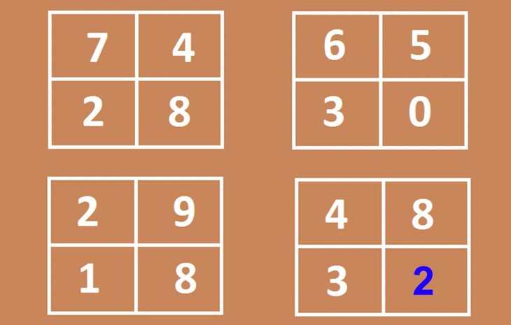 câu đố - Ảnh 2.