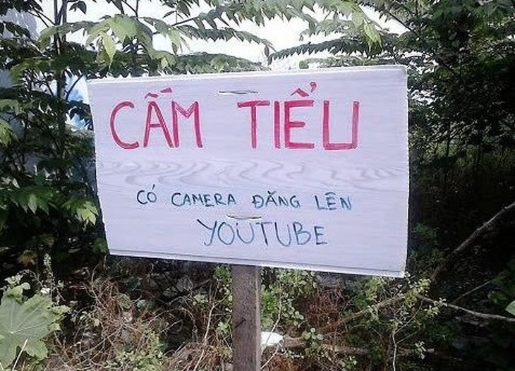 Tôn Ngộ Không - Ảnh 4.