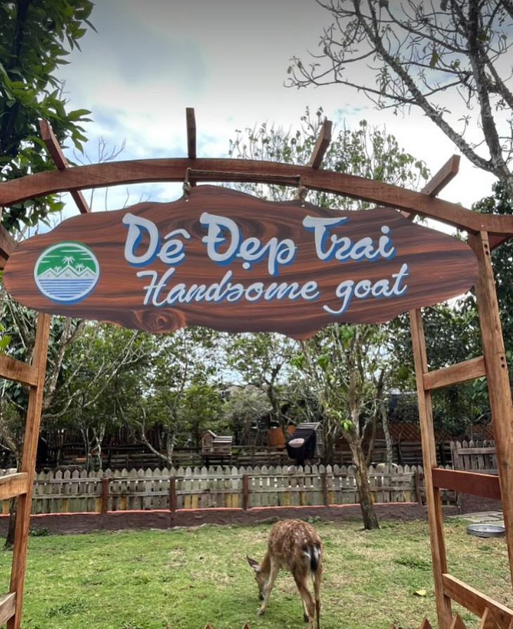 Tôn Ngộ Không - Ảnh 3.