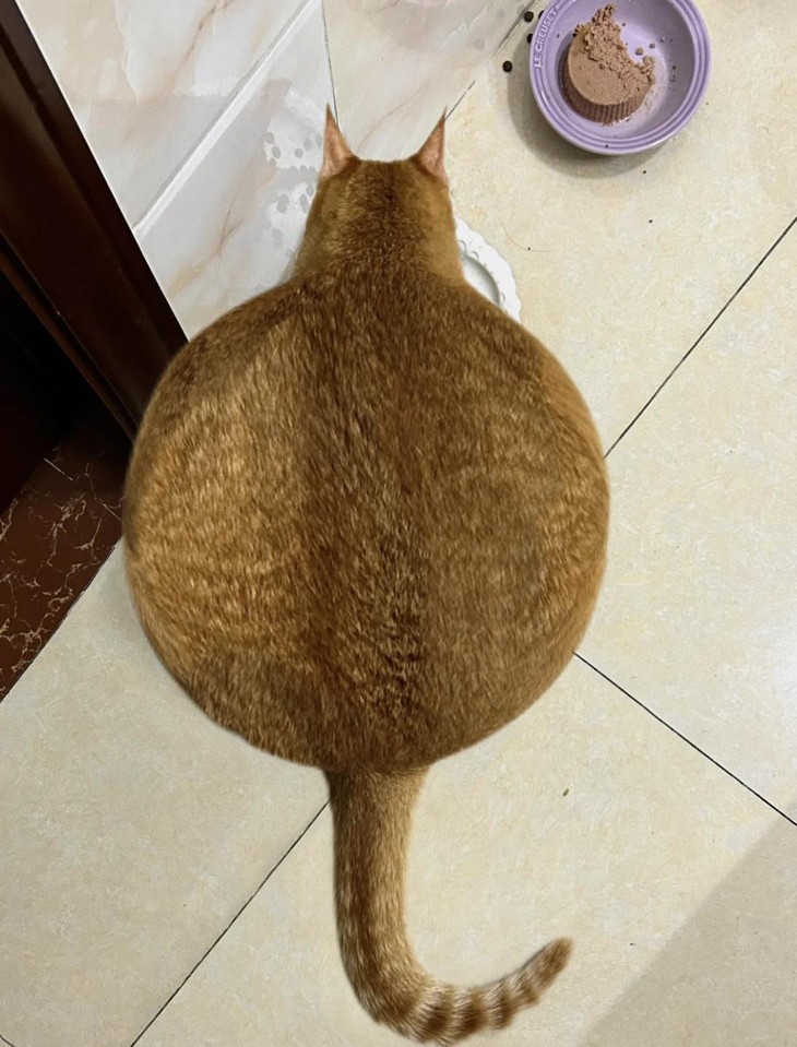 Tôn Ngộ Không - Ảnh 2.