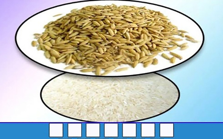 Thử tài nhanh trí với đuổi hình bắt chữ (P135) - Ảnh 7.