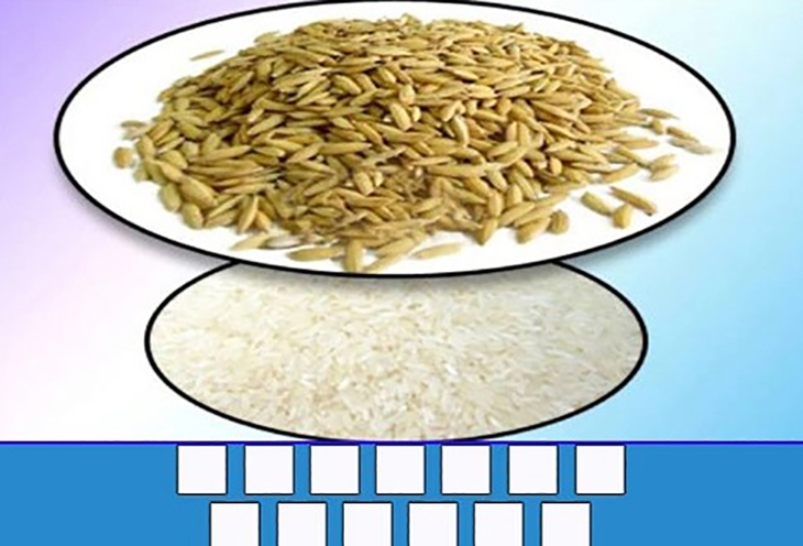 đuổi hình bắt chữ - Ảnh 1.