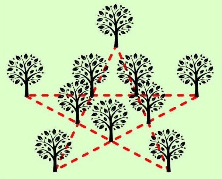 câu đố - Ảnh 4.