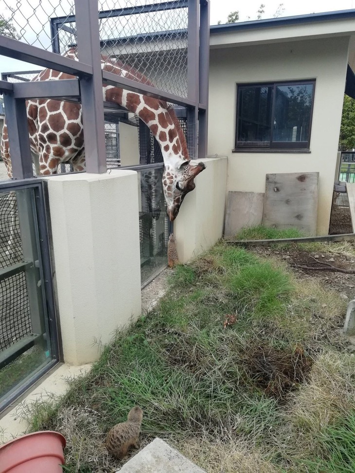 săn sale - Ảnh 5.