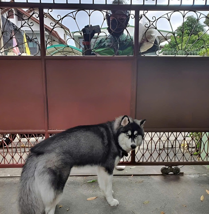 săn sale - Ảnh 1.