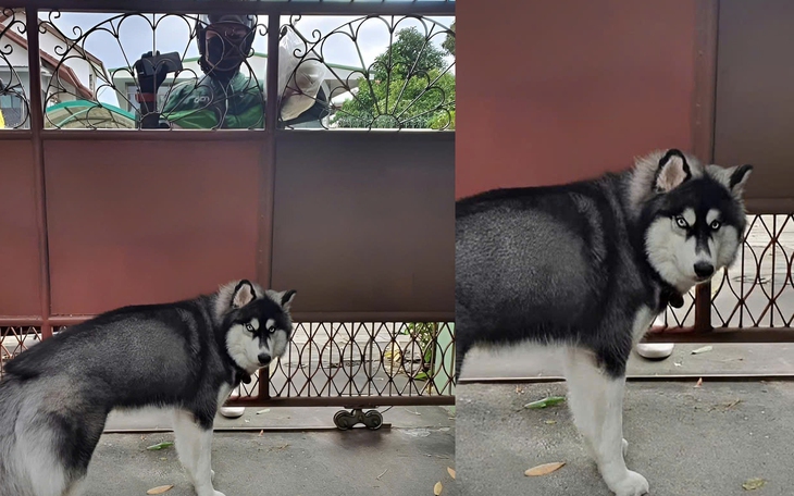 Chu Thanh Huyền làm gì hậu bị tố cáo? - Ảnh 3.