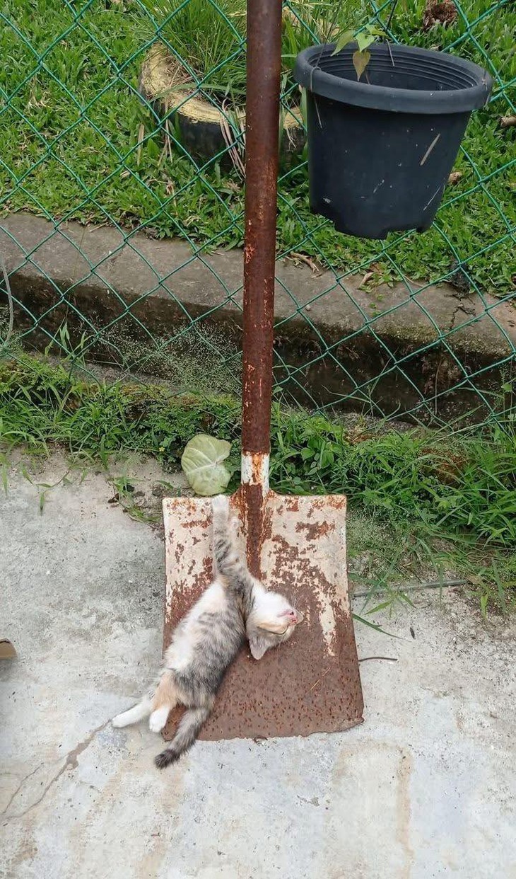 nghỉ phép - Ảnh 4.