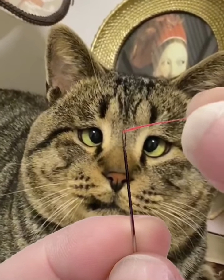 nghỉ phép - Ảnh 2.