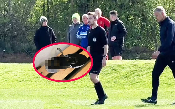 AC Milan và Inter Milan lên kế hoạch xây chung SVĐ dưới lòng đất - Ảnh 4.