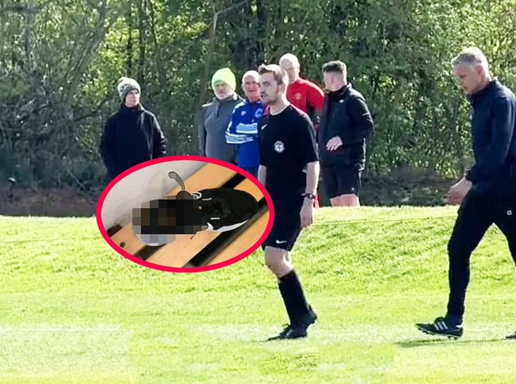 Trận đấu bị hủy vì trọng tài được ‘tặng quà có mùi’ - Ảnh 1.