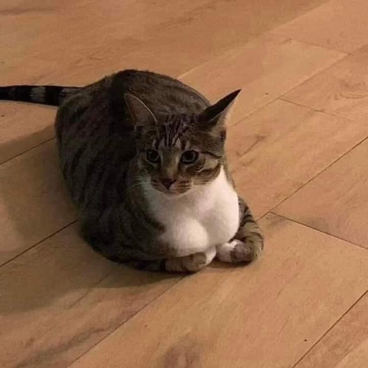 đi đi em - Ảnh 4.