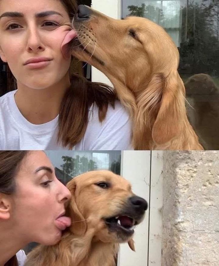 đi đi em - Ảnh 3.