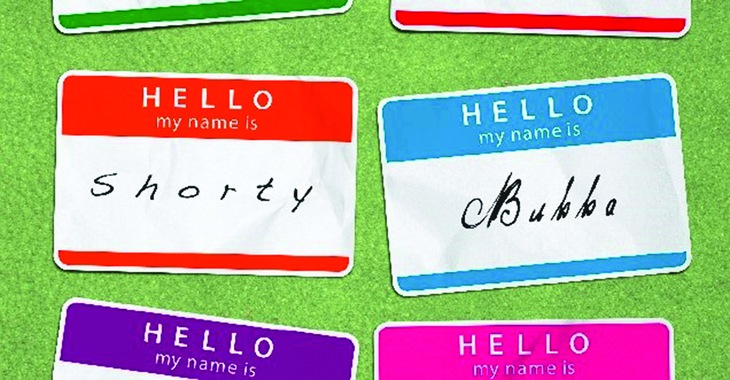 biệt danh - Ảnh 1.