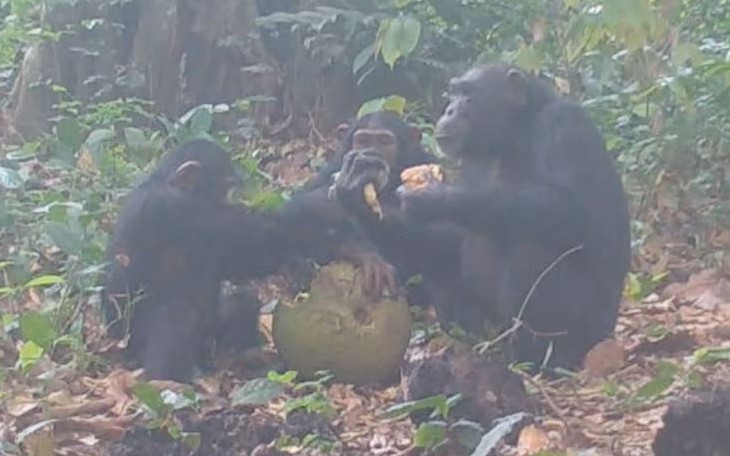 Ảnh vui 25-4: Nam quân nhân chỉ trả lời 2 từ đã khiến hội chị em 'tua vội' - Ảnh 7.