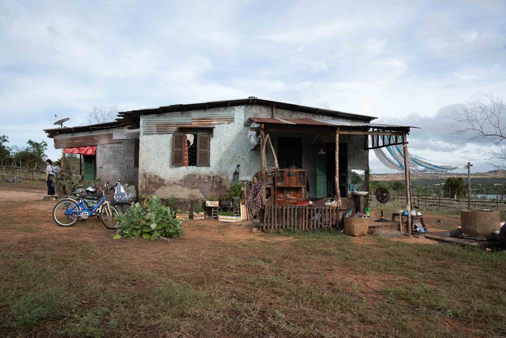 Lý Hải - Ảnh 1.