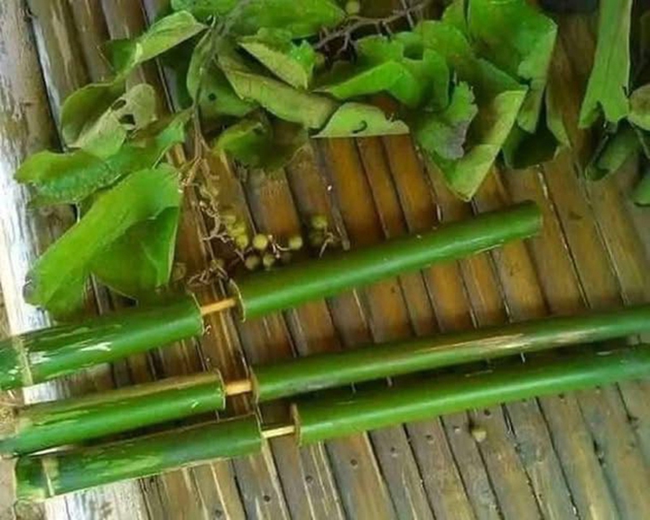 tuổi thơ - Ảnh 1.