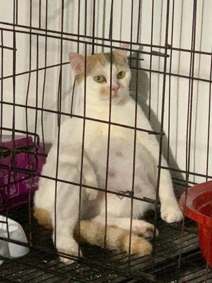 tuổi thơ - Ảnh 3.