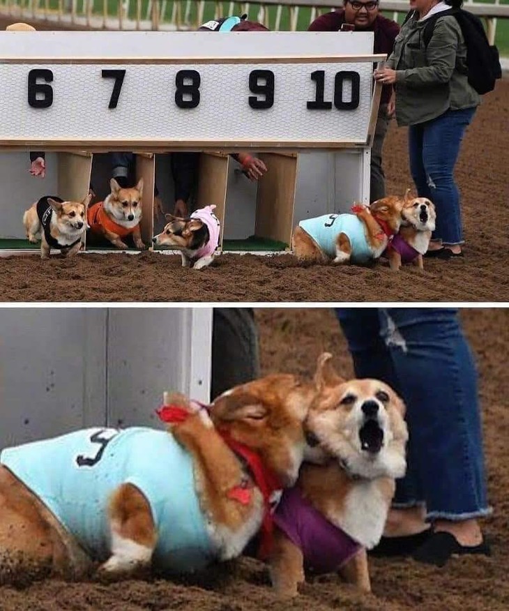 tuổi thơ - Ảnh 6.