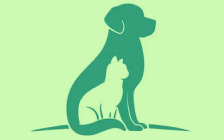 Quiz: Bạn có phải là người sống có mục tiêu? - Ảnh 4.