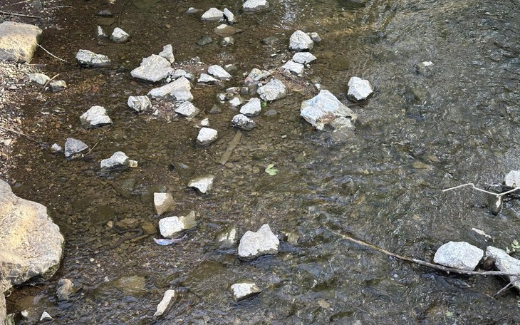 Thử tài tinh mắt: Cô gái ở đâu? - Ảnh 8.