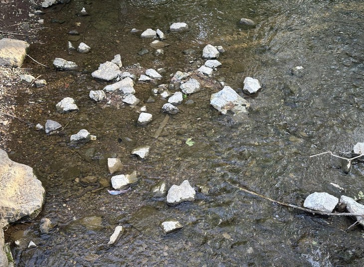 tinh mắt - Ảnh 1.