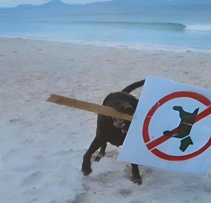 lòng heo - Ảnh 3.