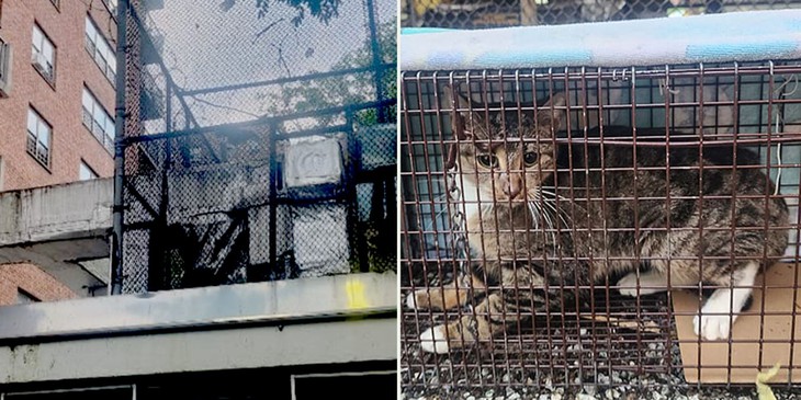 điều hòa - Ảnh 3.