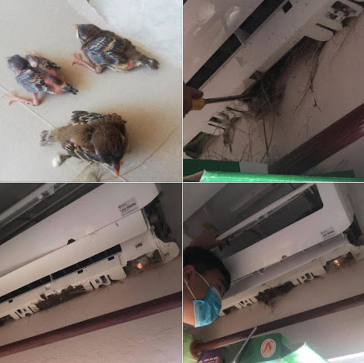 điều hòa - Ảnh 1.