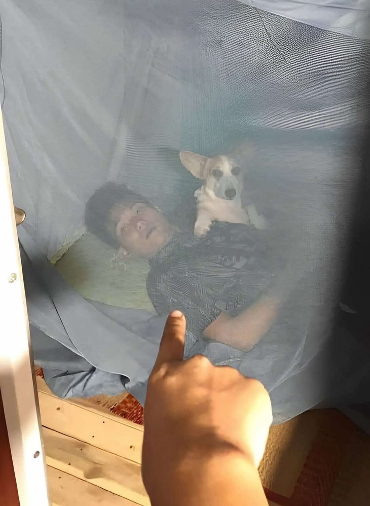 thể thao - Ảnh 2.