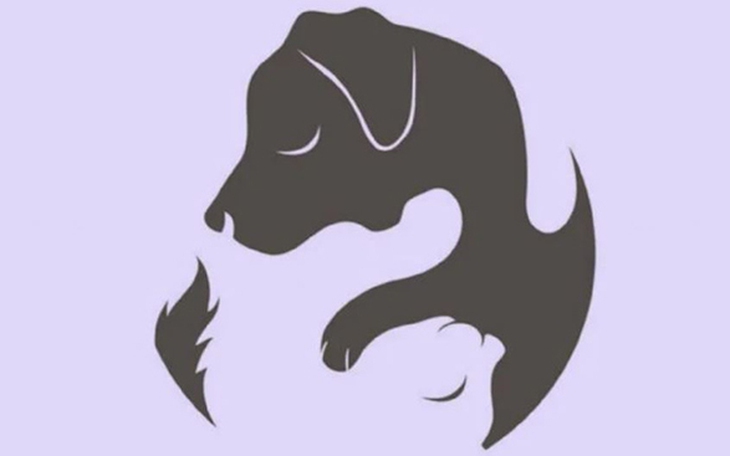 Quiz: Hình ảnh hé lộ vai trò của gia đình trong cuộc sống bạn - Ảnh 3.