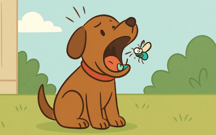 Câu thành ngữ quen thuộc này là gì? (P16) - Ảnh 4.