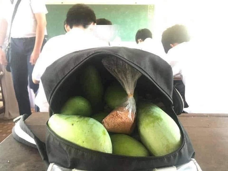 người Việt - Ảnh 2.