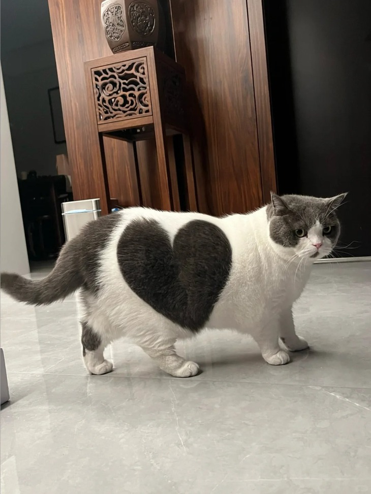 người Việt - Ảnh 4.