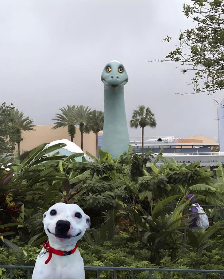 người Việt - Ảnh 6.