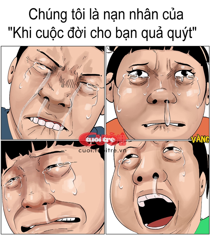 quả quýt - Ảnh 1.