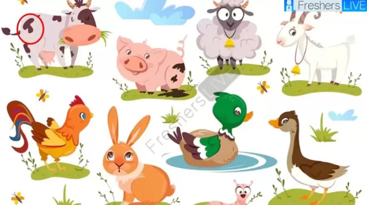 Thử tài tinh mắt - Ảnh 4.