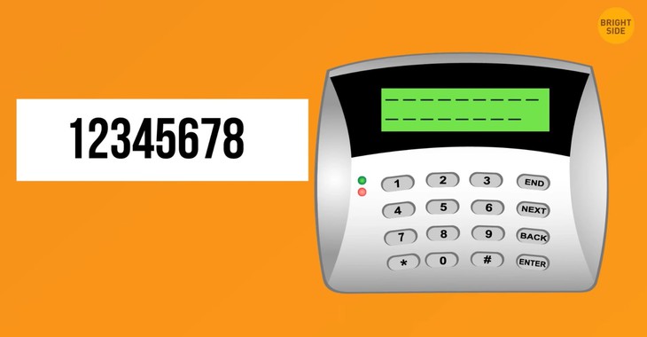 câu đố - Ảnh 1.