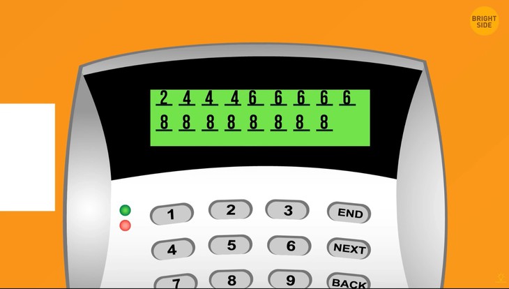 câu đố - Ảnh 2.