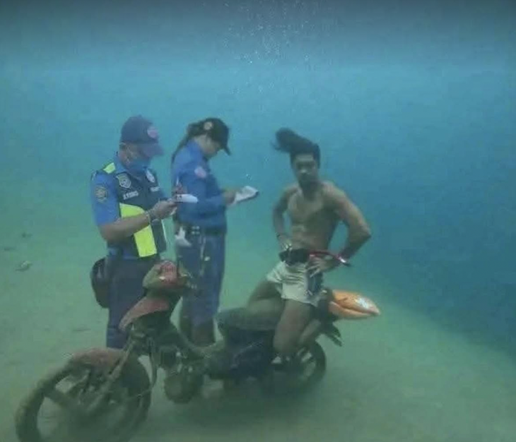 hải sản - Ảnh 7.