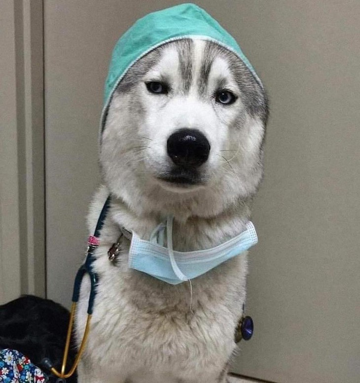 hải sản - Ảnh 3.