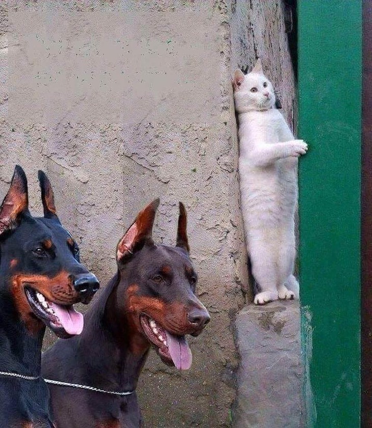 hải sản - Ảnh 6.