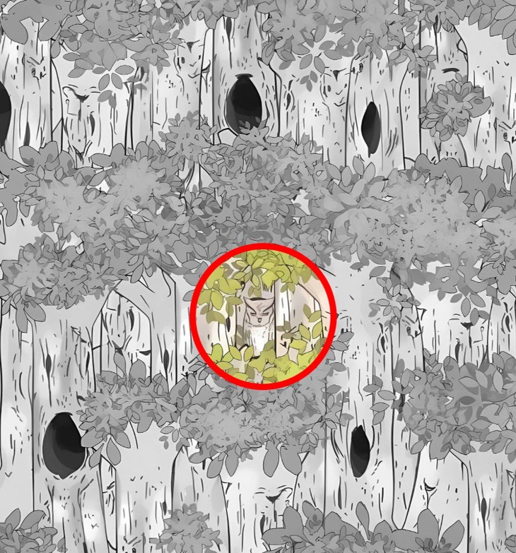 Thử tài tinh mắt - Ảnh 4.