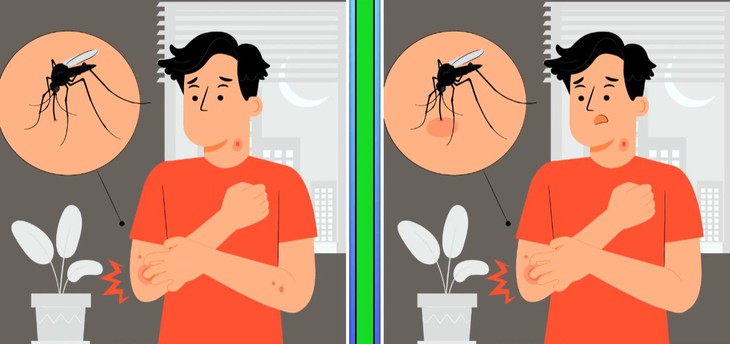 Thử tài tinh mắt - Ảnh 5.